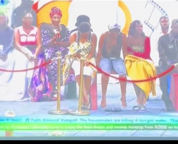 BBNaija 2025: Housemates Clinch Week 4 Wager Despite Flawed Performances
