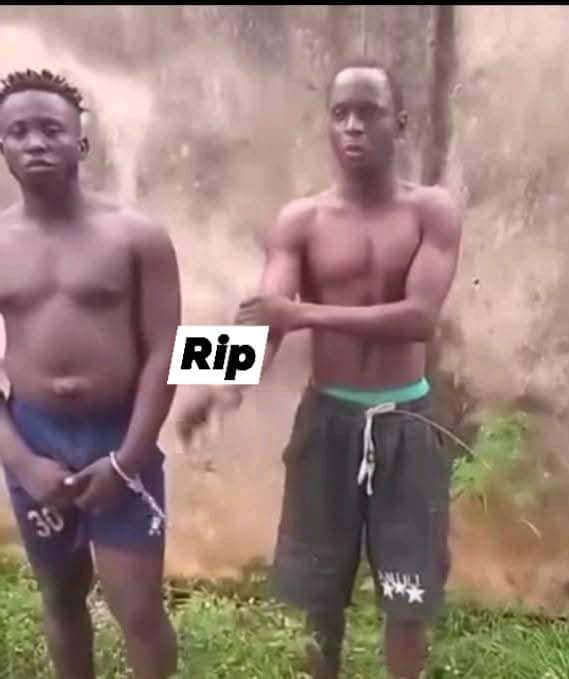 Biafran Commander “Gentle the Yahoo” caught on camera executing his own boys after accusing them of committing armed r0bbery behind his back