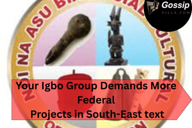 Igbo Group Demands More Federal Projects in South-East