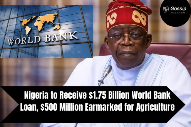 NIGERIA TO RECEIVE $1.75 BILLION WORLD BANK LOAN, $500 MILLION EARN-MARKED  FOR AGRICULTURE