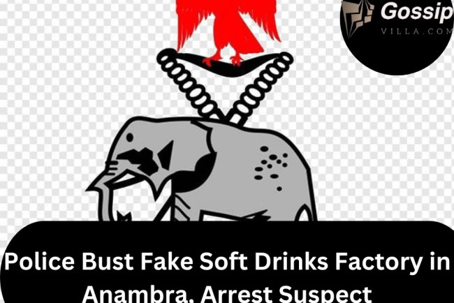 Police Bust Fake Soft Drinks Factory in Anambra, Arrest Suspect