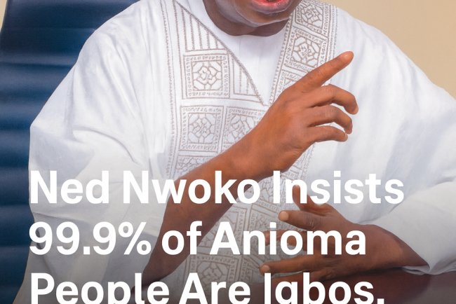 Ned Nwoko Reaffirms Anioma Identity, Declares 99.9% Are Igbos, Calls for Unity