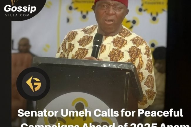 Senator Umeh Urges Peaceful, Idea-Driven Campaigns Ahead of 2025 Anambra Governorship Election
