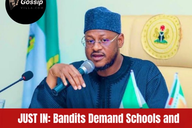 Katsina Government: Bandits Demand Educational and Health Facilities in Exchange for Peace