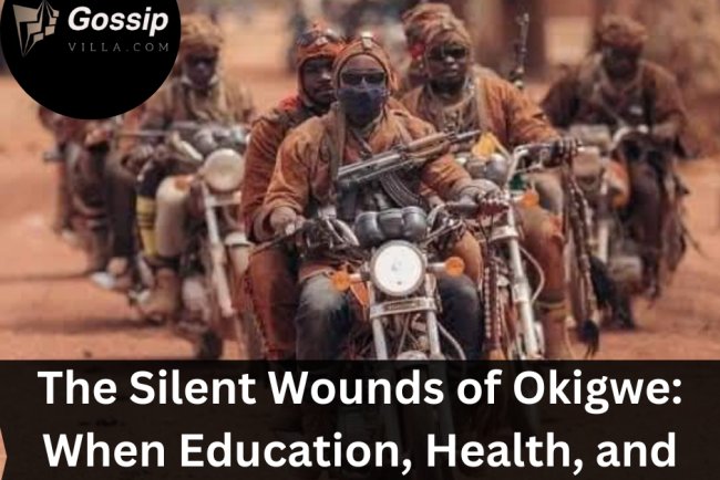 The Silent Wounds of Okigwe: When Education, Health, and Faith Were Stolen”