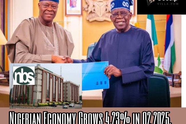 Nigerian Economy Grows 4.23% in Q2 2025, Outpaces Major Global Economies