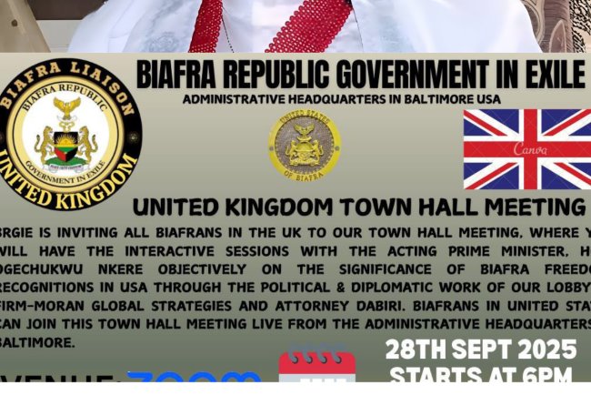 BRGIE UK Town Hall Meeting with Acting Prime Minister Ogechukwu Nkere – A Call for Unity and Action