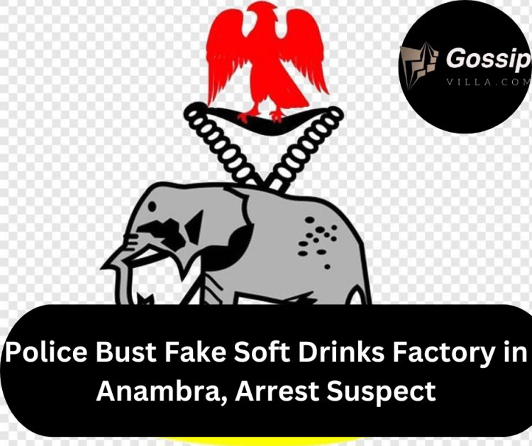 Police Bust Fake Soft Drinks Factory in Anambra, Arrest Suspect