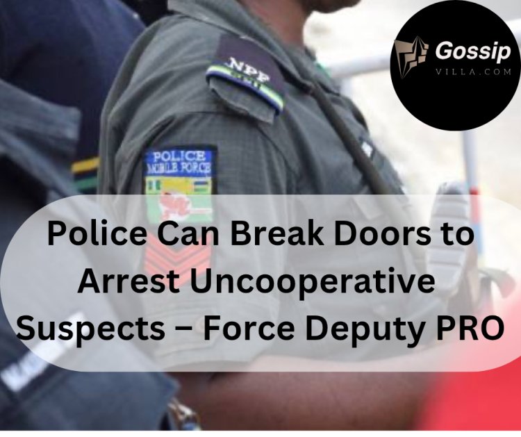 BREAKING: Police Can Break Doors to Arrest Uncooperative Suspects – Force Deputy PRO