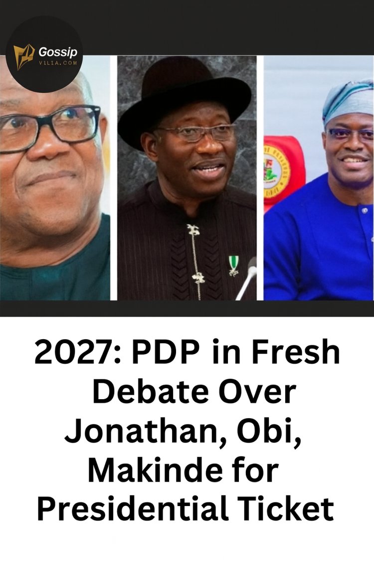 PDP in Fresh Debate Over 2027 Presidential Ticket: Jonathan, Obi, Makinde in the Spotlight