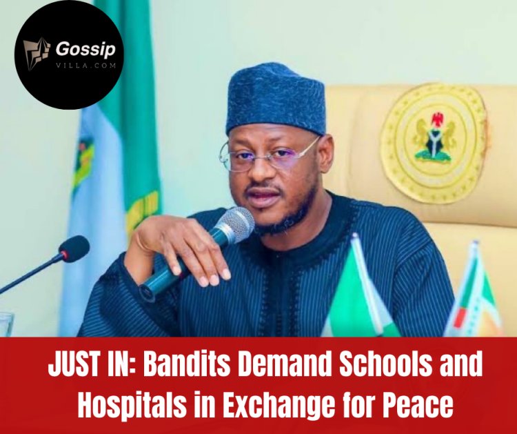 Katsina Government: Bandits Demand Educational and Health Facilities in Exchange for Peace