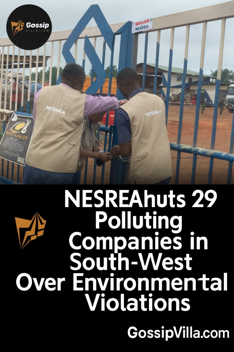 NESREA Shuts 29 Polluting Companies in South-West Over Environmental Violations”