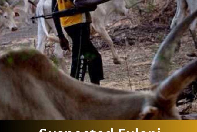 Suspected Fulani Herdsmen Invade Enugu Community, Kill Farmer, Machete Others