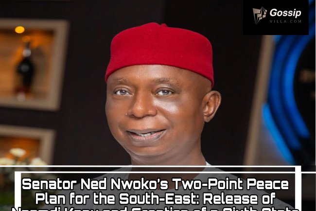 Senator Ned Nwoko’s Two-Point Peace Plan for the South-East: Release of Nnamdi Kanu and Creation of a Sixth State