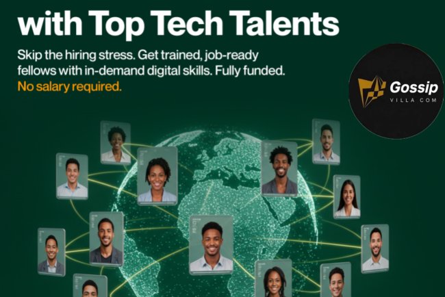 FG, EU, and UNDP Launch Free Tech Job Placement Programme for Nigerian Youths