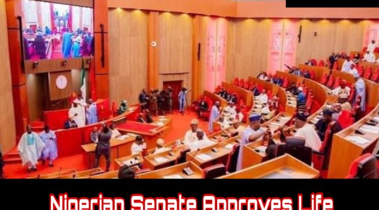 Nigerian Senate Approves Life Imprisonment for Defilement of Minors