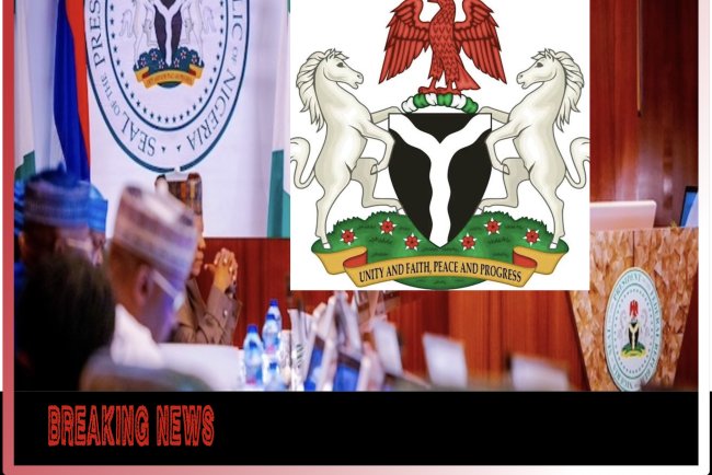 Federal Government Borrows N17.36 Trillion in 10 Months, Exceeds 2025 Target by 55.6%