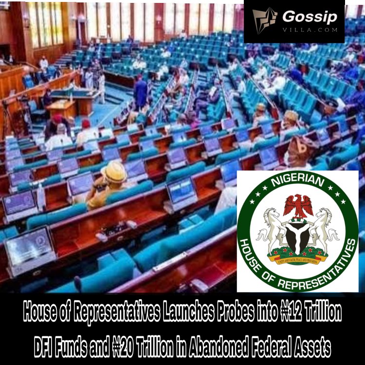 House of Representatives Launches Probes into ₦12 Trillion DFI Funds and ₦20 Trillion in Abandoned Federal Assets