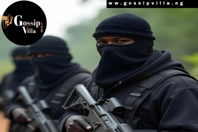 Bandits Kill Vice Principal, Abduct 25 Girls in Kebbi School Attack