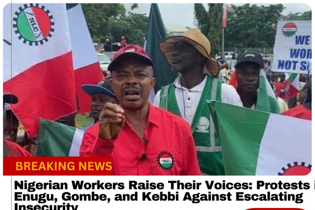 Nigerian Workers Raise Their Voices: Protests in Enugu, Gombe, and Kebbi Against Escalating Insecurity