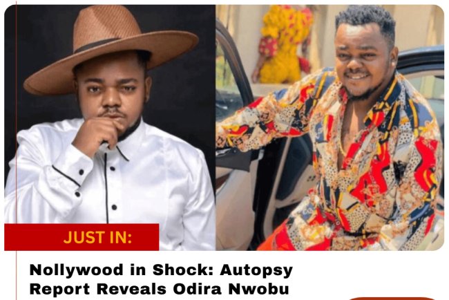 TikTok Star Peller Apologises After Reckless Livestream Crash, Arrest, and Public Backlash