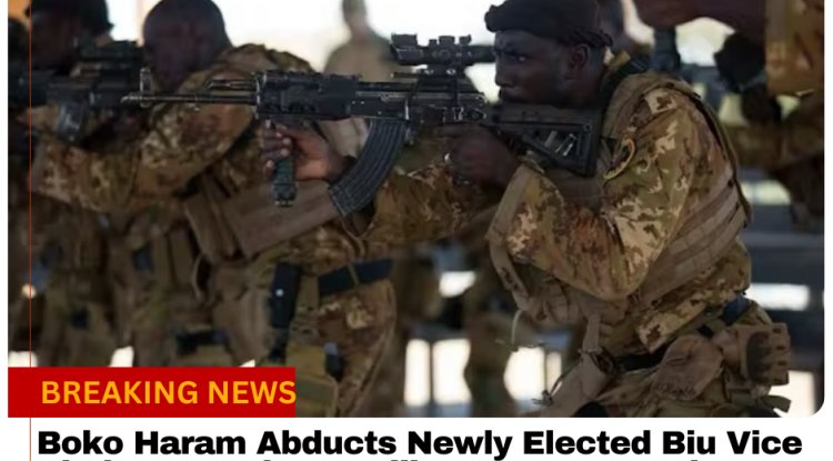 Boko Haram Abducts Newly Elected Biu Vice Chairman and Councillors on Borno-Yobe Highway