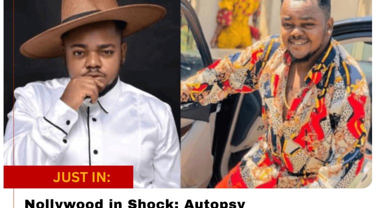 TikTok Star Peller Apologises After Reckless Livestream Crash, Arrest, and Public Backlash