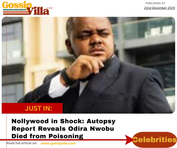 TikTok Star Peller Apologises After Reckless Livestream Crash, Arrest, and Public Backlash