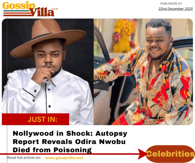 TikTok Star Peller Apologises After Reckless Livestream Crash, Arrest, and Public Backlash